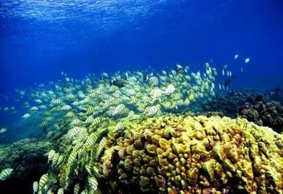 背上行囊，讓心去旅行：全球最吸引人的20個(gè)旅游目的地