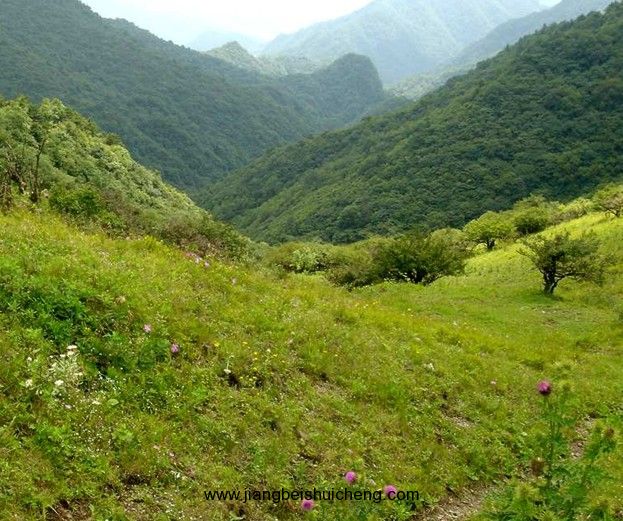 【走遍中國·景點(diǎn)篇】秦嶺 【走遍中國·景點(diǎn)篇】秦嶺